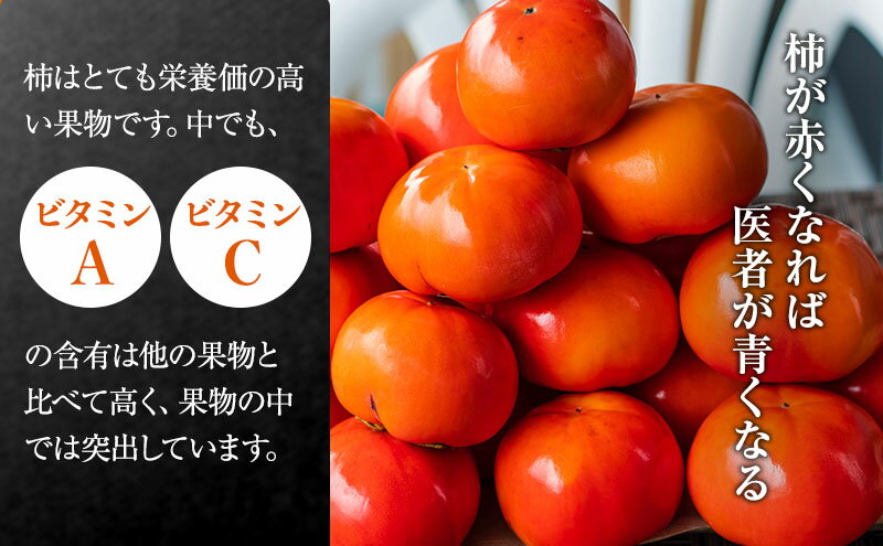 【ふるさと納税】＼選べる内容量／【富有柿の発祥の地 瑞穂市！！】富有柿 贈答用 ｜果物類 柿 かき 秋 産地直送 瑞穂市 岐阜県 ※離島への配送不可 ※2025年11月下旬頃より順次発送予定 サムネイル3