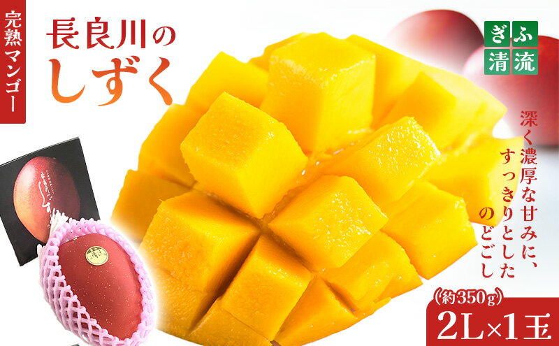 【ふるさと納税】ぎふ清流完熟マンゴー1個入り※クレジット決済のみ果物 フルーツ｜果物 フルーツ 旬 採れたて お取り寄せ お取り寄せグルメ デザート スイーツ おやつ 贈答用 贈り物 ギフト　※北海道・沖縄県・離島への配送不可 ※2026年6月中旬～7月下旬頃に順次発送予定 サムネイル2