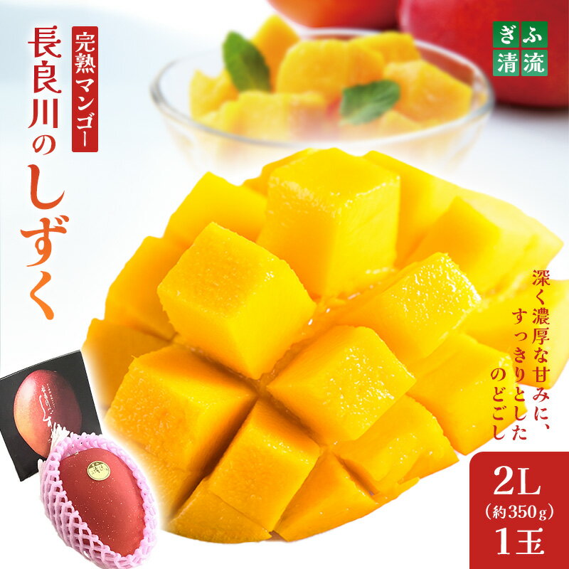 ぎふ清流完熟マンゴー1個入り※クレジット決済のみ果物 フルーツ｜果物 フルーツ 旬 採れたて お取り寄せ お取り寄せグルメ デザート スイーツ おやつ 贈答用 贈り物 ギフト　※北海道・沖縄県・離島への配送不可 ※2026年6月中旬～7月下旬頃に順次発送予定