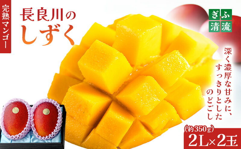 【ふるさと納税】ぎふ清流完熟マンゴー2個入り※クレジット決済のみ 果物 フルーツ｜果物 フルーツ 旬 採れたて お取り寄せ お取り寄せグルメ デザート スイーツ おやつ 贈答用 贈り物 ギフト ※北海道・沖縄・離島への配送不可 ※2026年6月中旬～7月下旬頃に順次発送予定 サムネイル2