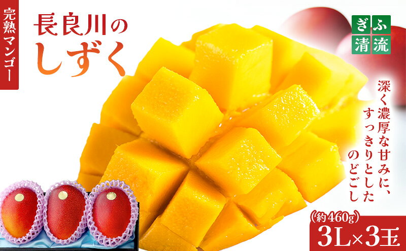 【ふるさと納税】ぎふ清流完熟マンゴー 3個セット 果物 フルーツ｜果物 フルーツ 旬 採れたて お取り寄せ お取り寄せグルメ デザート スイーツ おやつ 贈答用 贈り物 ギフト プレゼント ※北海道・沖縄県・離島への配送不可 ※2026年6月中旬～7月下旬頃に順次発送予定 サムネイル2