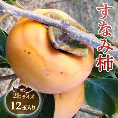 瑞穂市発祥の希少甘柿　すなみ柿　贈答用 果物 フルーツ 食後 デザート 秋の味覚 希少品種 おやつ 旬の果物 旬のフルーツ ※離島への配送不可 ※2025年11月中旬頃より順次発送予定