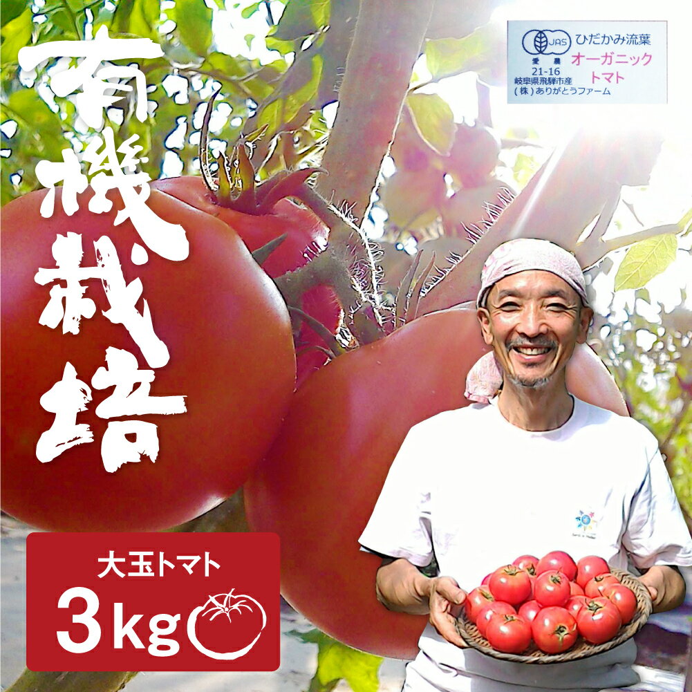 【令和8年産先行予約受付中】《期間・数量限定》コクと旨味の有機大玉トマト 有機JAS認定 3kg とまと 大玉 ありがとうファーム 甘い 特産 国産 野菜 旬 有機野菜 送料無料 [Q634x]10000円 1万円