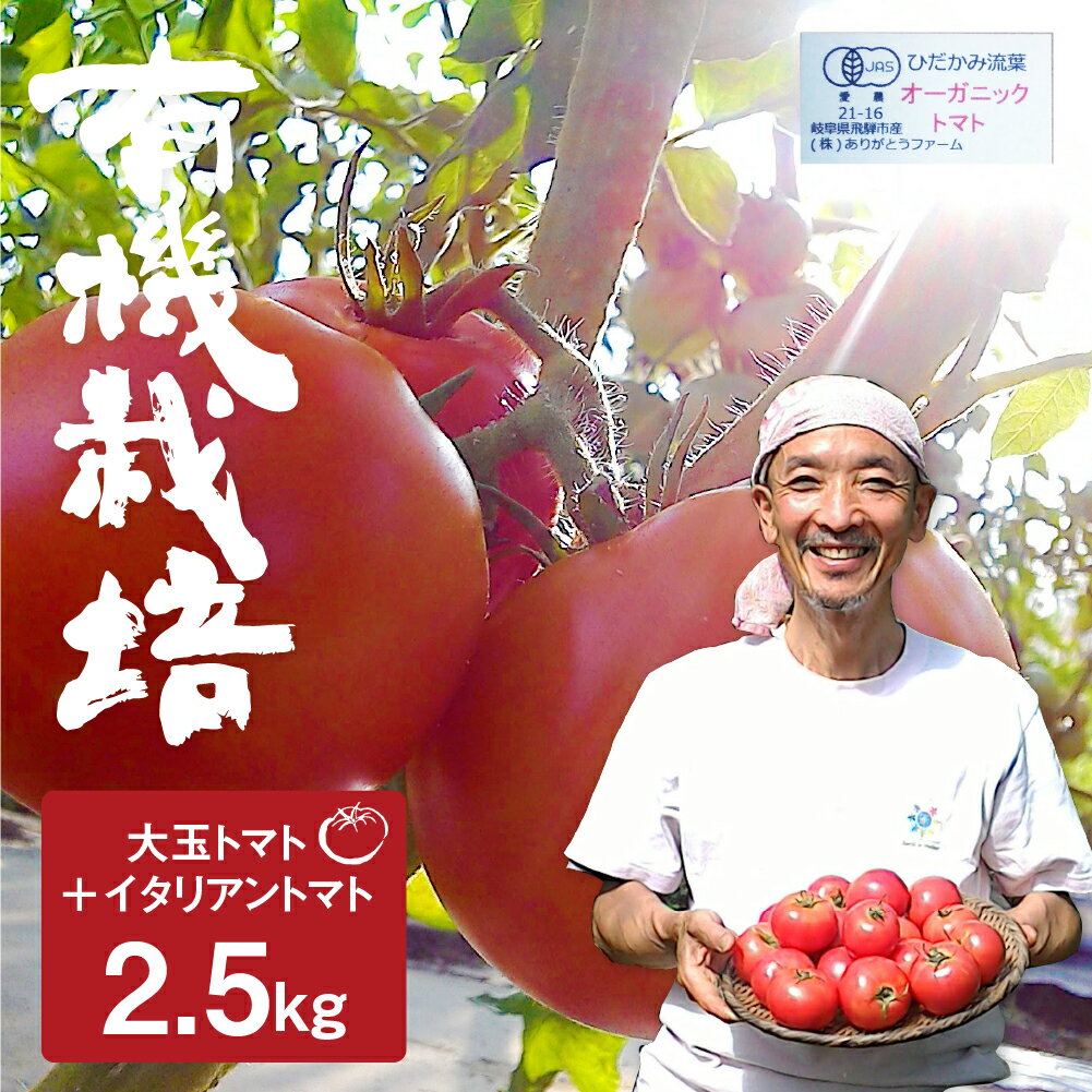 【令和8年産先行予約】《期間・数量限定》 コクと旨味の有機大玉トマト サンマルツァーノ 調理用トマト ありがとうファーム 有機JAS認定 2.5kg とまと 大玉 甘い 特産 国産 野菜 訳あり 旬 有機野菜 訳アリ 送料無料 [Q633]《hida0307》