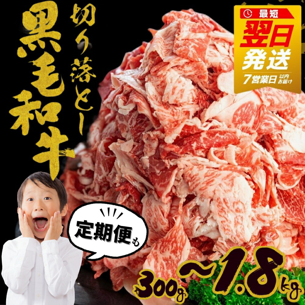 《選べる内容量・定期便》飛米牛 切落しスライス 300g 〜 1.8kg すぐ届く 発送 スライス 黒毛和牛 和牛 牛肉 肉 国産牛 定期 定期便 牛丼 焼肉 切落し 不揃い 切り落とし 訳アリ 訳あり わけあり 小分け 使い切り 大容量 7000円 10000円 1万円 どやな飛騨市