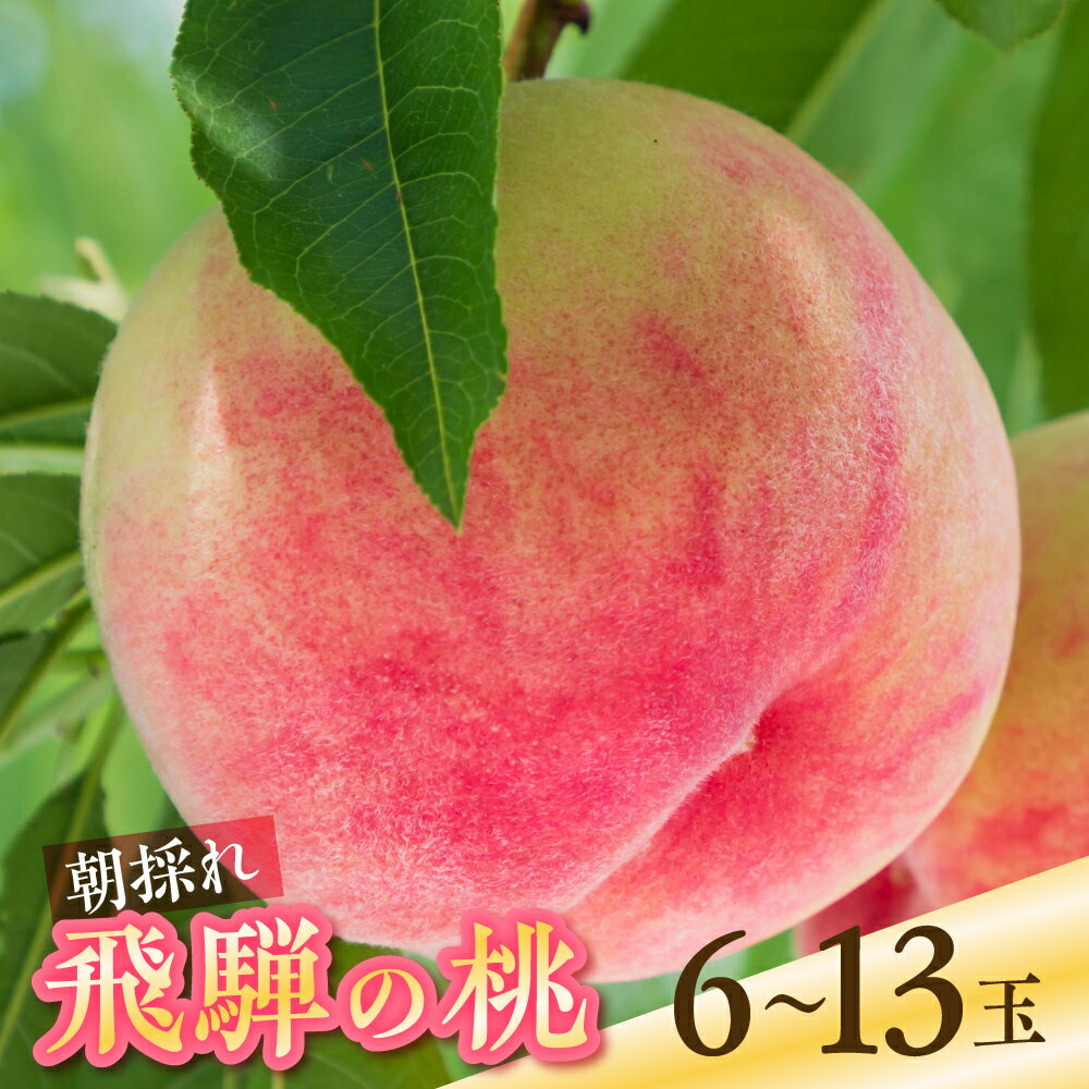 2026年先行予約 令和8年産 桃 6玉 8-9玉 もも 1.5kg 2.5kg 秀品 白桃 果物 フルーツ ギフト 贈答 朝採れ 飛騨 家庭用 訳あり 訳アリ 産地直送 スイーツ フルーツ デザート 旬 モモ 送料無料 白鳳 昭和白鳳 飛騨おとめ なつっこ