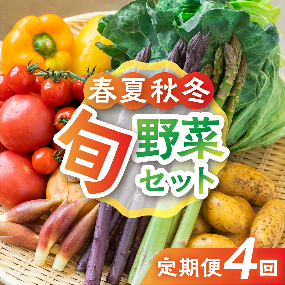季節の野菜の定期便 飛騨産直市そやな直送 トマト店長厳選 飛騨産 旬の野菜セット 5-6品 野菜セット 定期便 4回 おまかせ 詰め合わせ 産地直送 《hida0307》