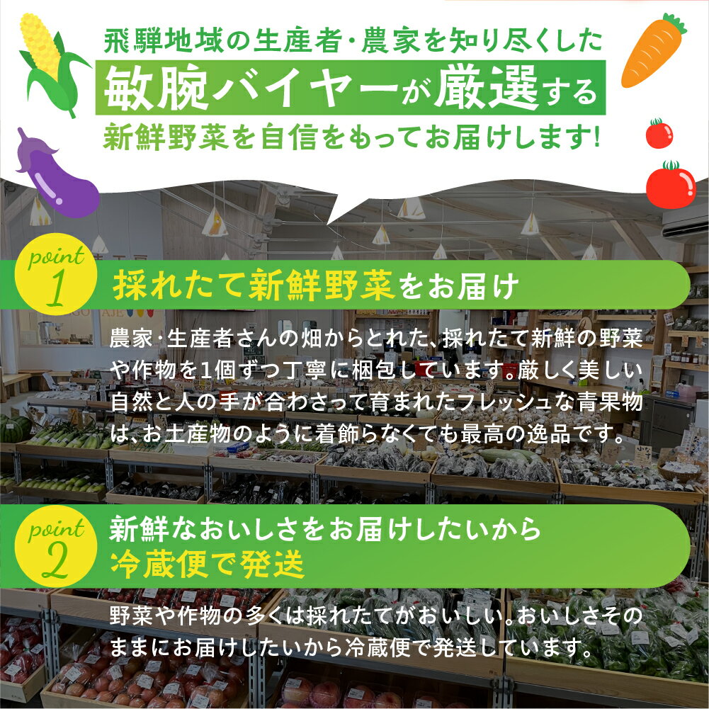 【ふるさと納税】季節の野菜の定期便 飛騨産直市そやな直送 トマト店長厳選 飛騨産 旬の野菜セット 5-6品 野菜セット 定期便 4回 おまかせ 詰め合わせ 産地直送 《hida0307》 - 画像2