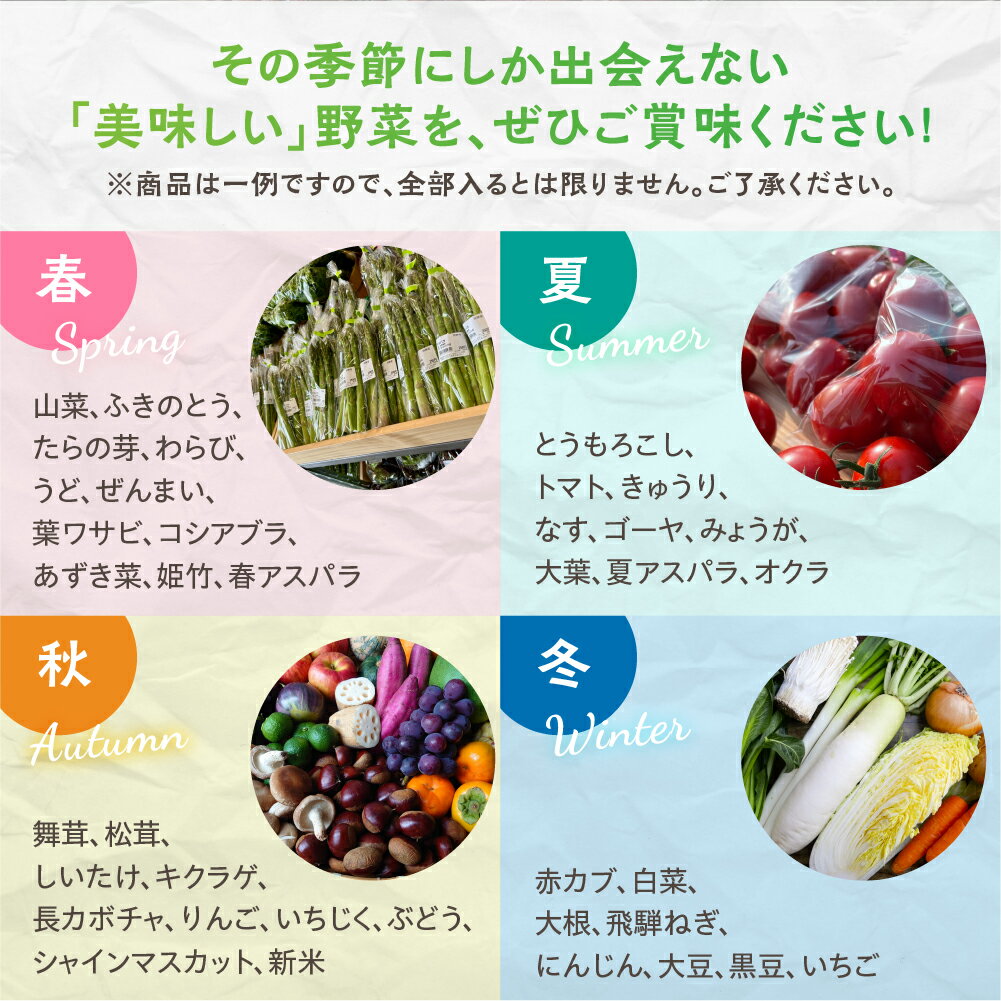 【ふるさと納税】季節の野菜の定期便 飛騨産直市そやな直送 トマト店長厳選 飛騨産 旬の野菜セット 5-6品 野菜セット 定期便 4回 おまかせ 詰め合わせ 産地直送 《hida0307》 - 画像3
