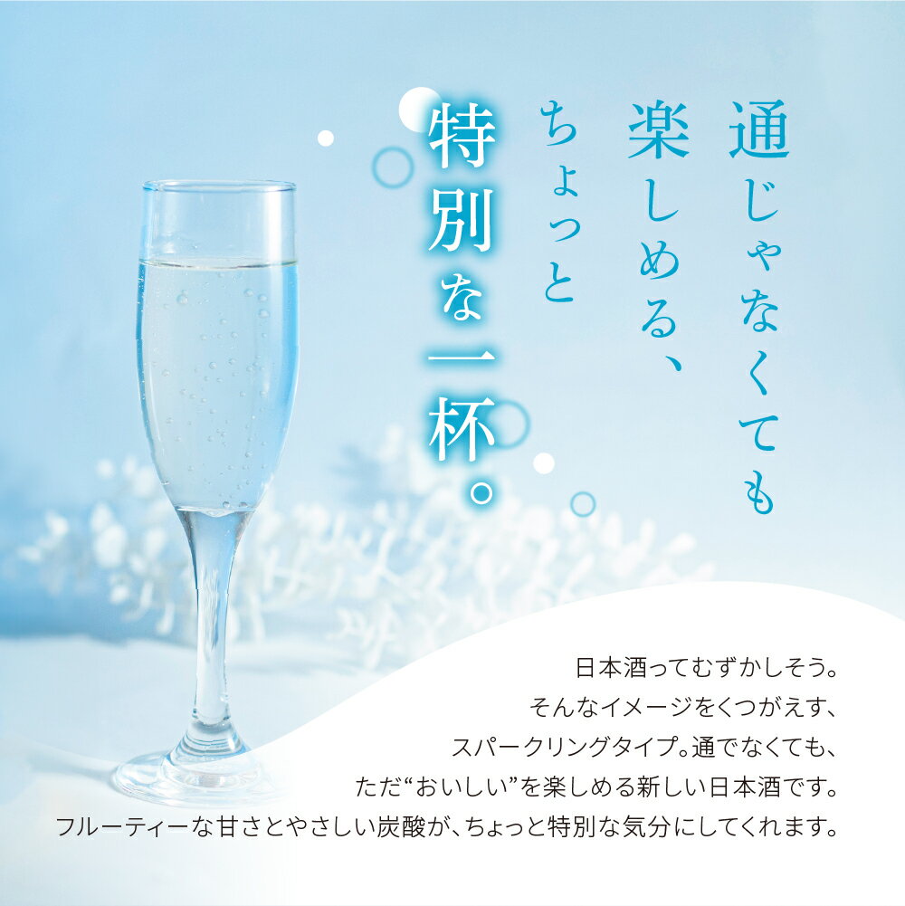 【ふるさと納税】日本酒スパークリング フルーティー 日本酒 白真弓 Janpan 炭酸 飛騨 純米酒 地酒 酒 記念日 クリスマス 特別な日に パーティー お取り寄せ 10000円 1万円 6000円 飛騨市 720ml 360ml［A0042xc］ サムネイル2