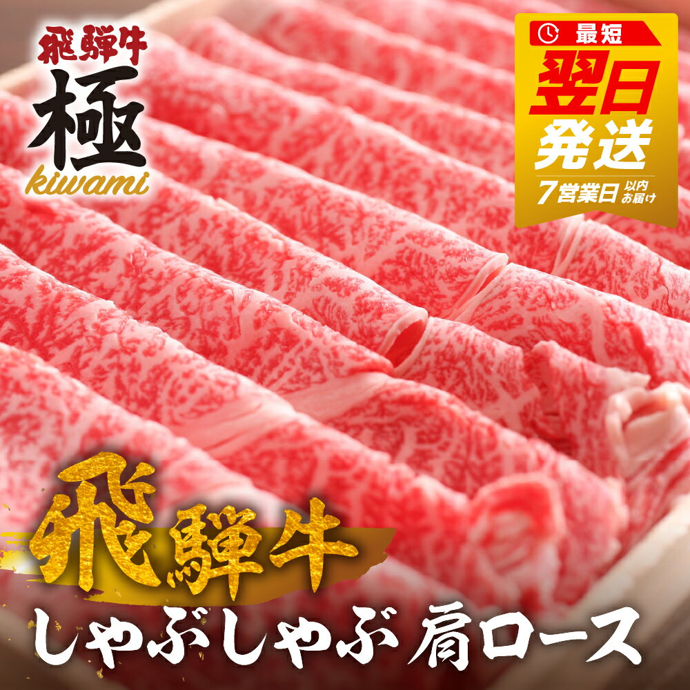 飛騨牛 肩ロースしゃぶしゃぶ用 500g~700g(選べる 内容量) 飛騨牛 カタロース ロース しゃぶしゃぶ プロ厳選 牛肉 和牛 肉 国産 鍋 [D0016x Q308x]30000円 3万円 50000万円 5万円