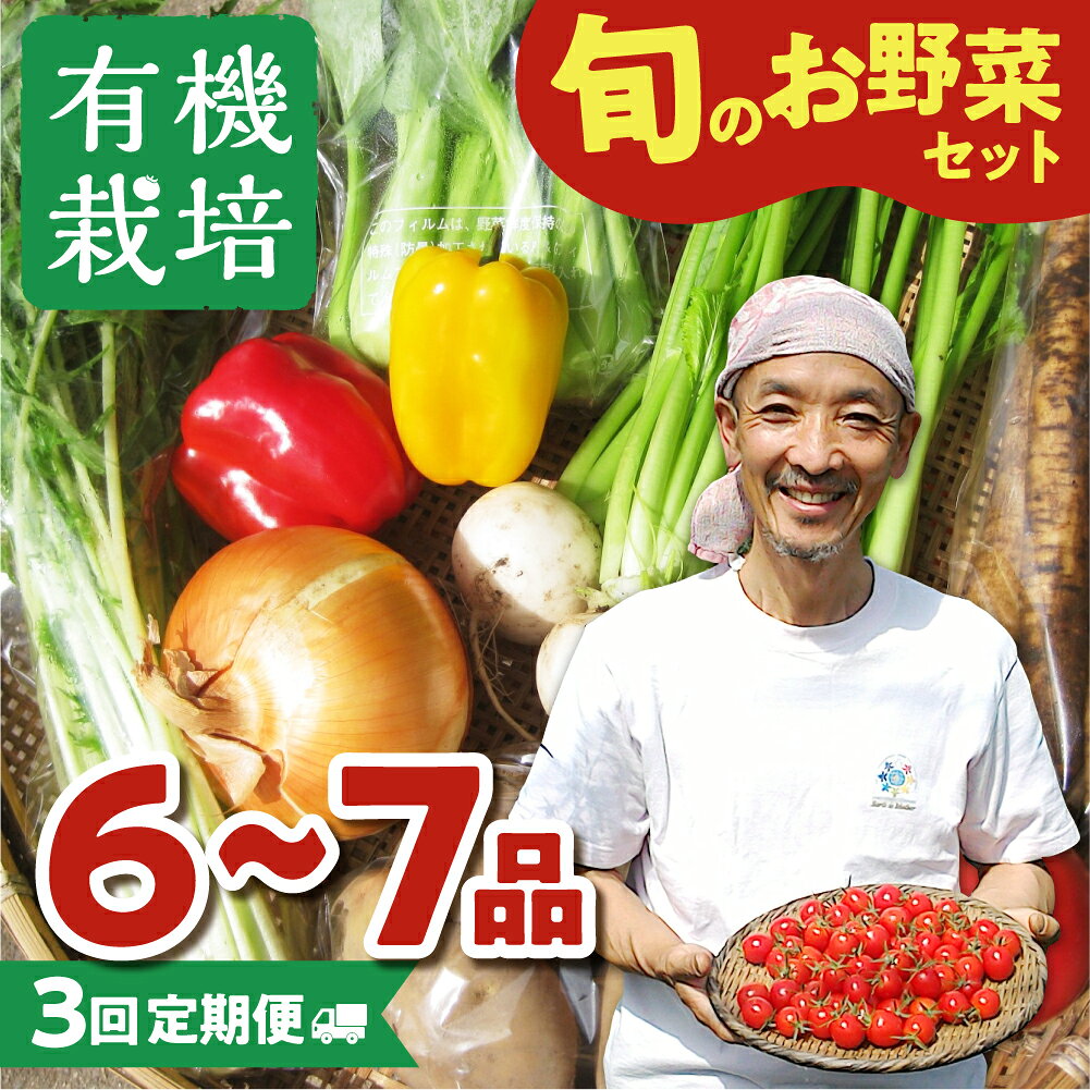 《令和8年産 先行予約受付中》野菜の栄養価コンテストグランプリ農家が贈る 無農薬栽培 野菜セット 6-7品 3回お届け 定期便 お野菜のレシピ付き 野菜 定期便 お楽しみ ありがとうファーム 3万円 30000円《hida0307》 どやな飛騨市