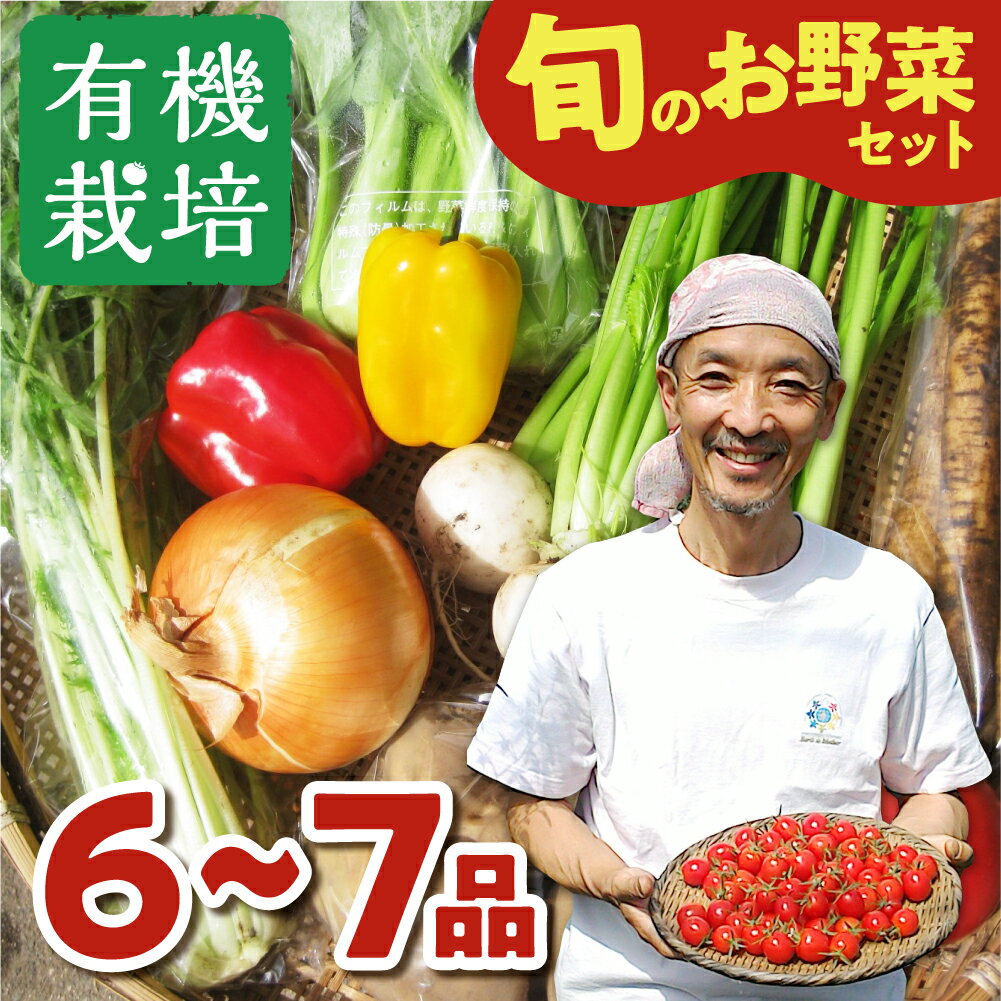 【令和8年産先行予約受付中】野菜の栄養価コンテストグランプリ農家が贈る 無農薬栽培野菜セット 4-7品 ありがとうファーム お野菜のレシピ付き 選べるお届け時期 無農薬 野菜 セット 味噌 糀 おまかせ お楽しみ 10000円