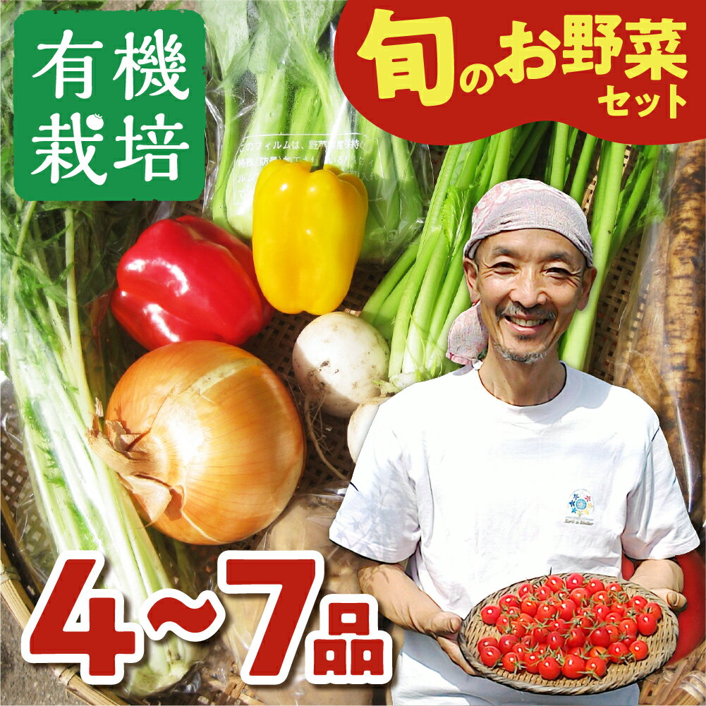 【令和8年産先行予約受付中】野菜の栄養価コンテストグランプリ農家が贈る 無農薬栽培野菜セット 4-7品 ありがとうファーム お野菜のレシピ付き 選べるお届け時期 無農薬 野菜 セット 味噌 糀 おまかせ お楽しみ 10000円