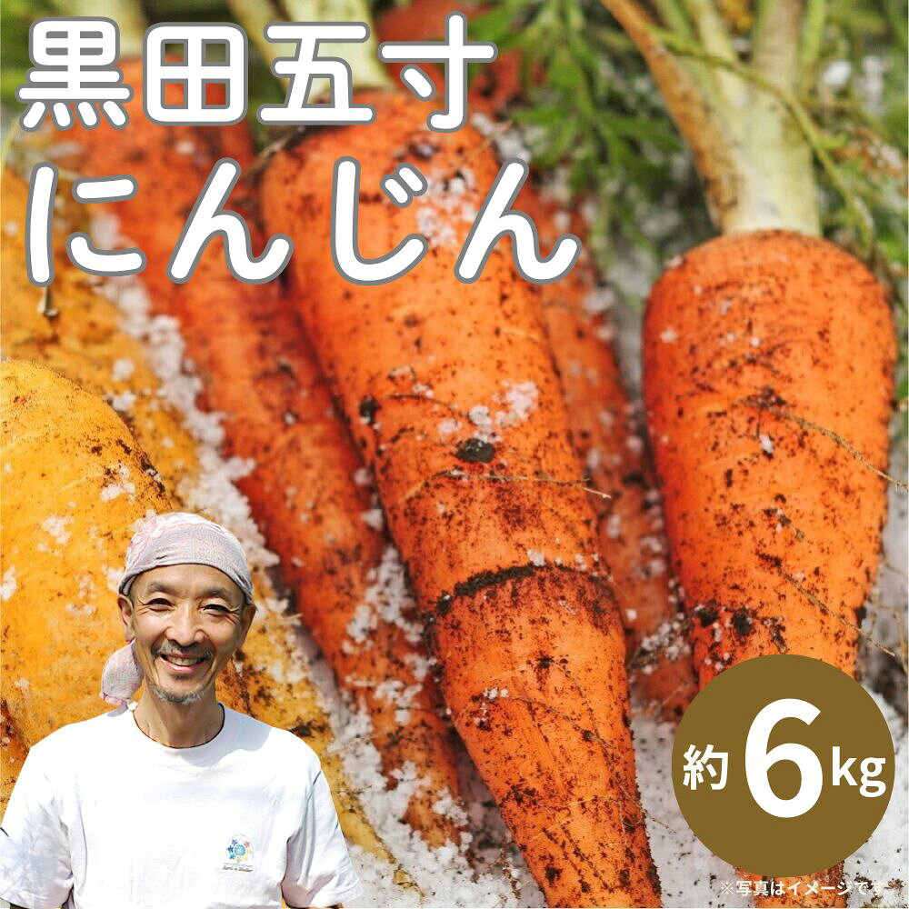 《数量限定》訳あり 不揃い ひだかみ流葉 酵素ライフ 有機人参 高栄養価！ 6kg ゲルソン療法にもぜひご活用下さい！にんじん ニンジン 人参 訳アリ わけあり ワケアリ 家庭用 [Q2659] 10000円 1万円