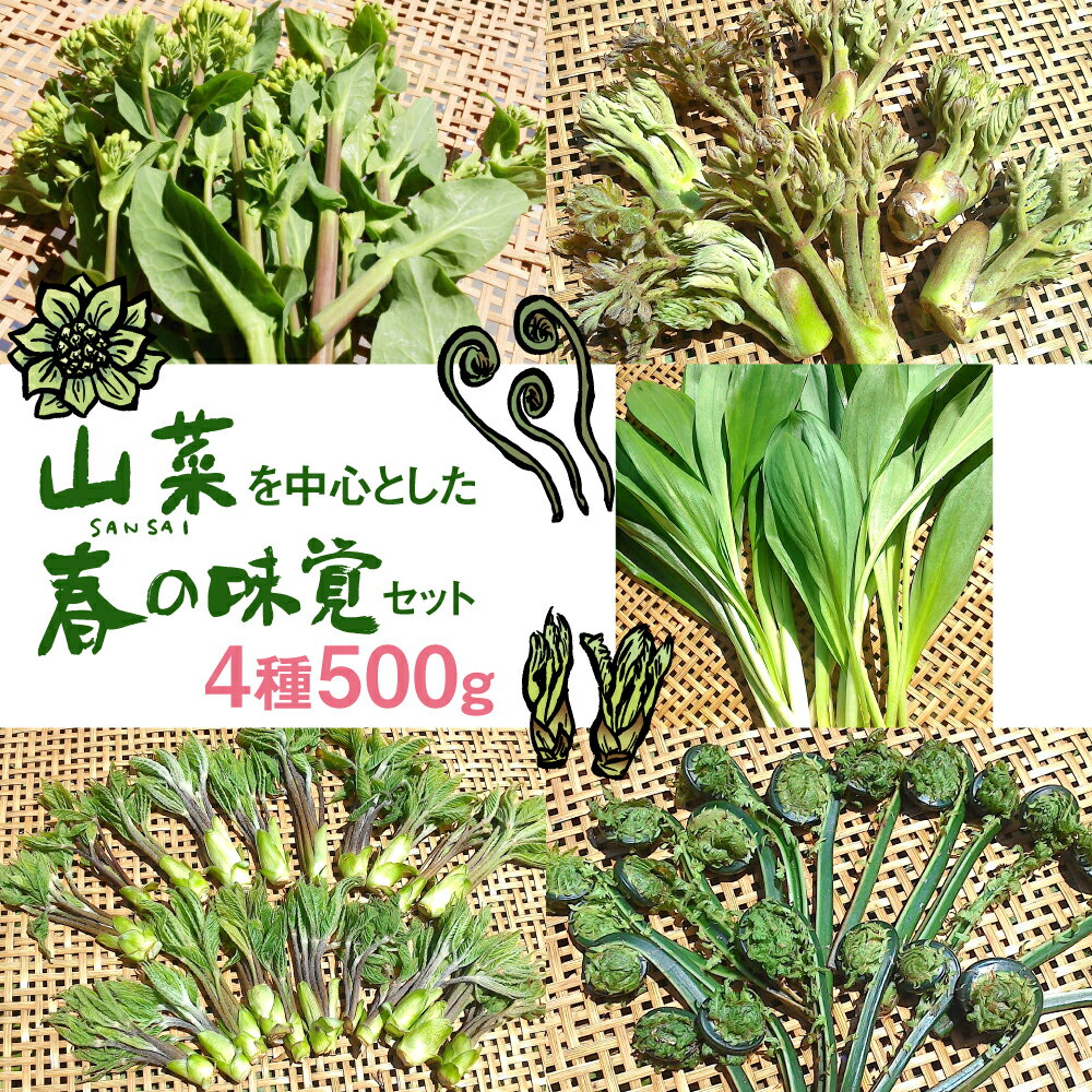 《先行予約》4~5月お届け 春の味覚をお届け！山菜を中心と春の味覚セット [Q631] 12000円 山菜 詰め合わせセット 食べ比べ 野菜 12000円