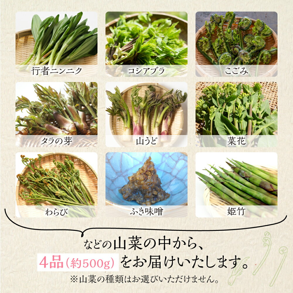 【ふるさと納税】《先行予約》4~5月お届け 春の味覚をお届け！山菜を中心と春の味覚セット [Q631] 12000円 山菜 詰め合わせセット 食べ比べ 野菜 12000円 - 画像2