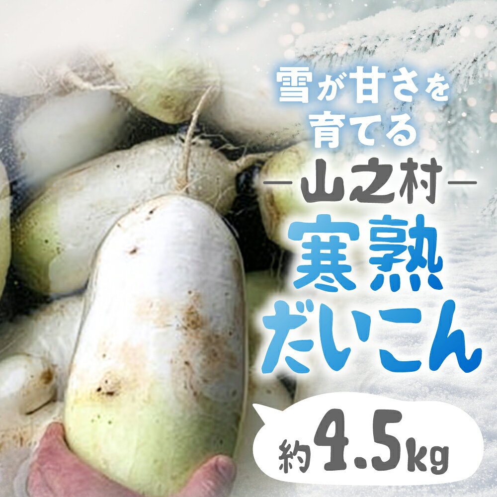 《先行予約》満天☆青空レストラン で紹介 飛騨 山之村 清水さんちの「寒熟だいこん」 【2027年1月下旬〜3月上旬発送】完熟大根 約4.5kg 2〜6本 清水農園 野菜 産地直送 お取り寄せ 完熟 ダイコン 鍋 おでん 煮物 [A0122wxch] 12000円 飛騨市