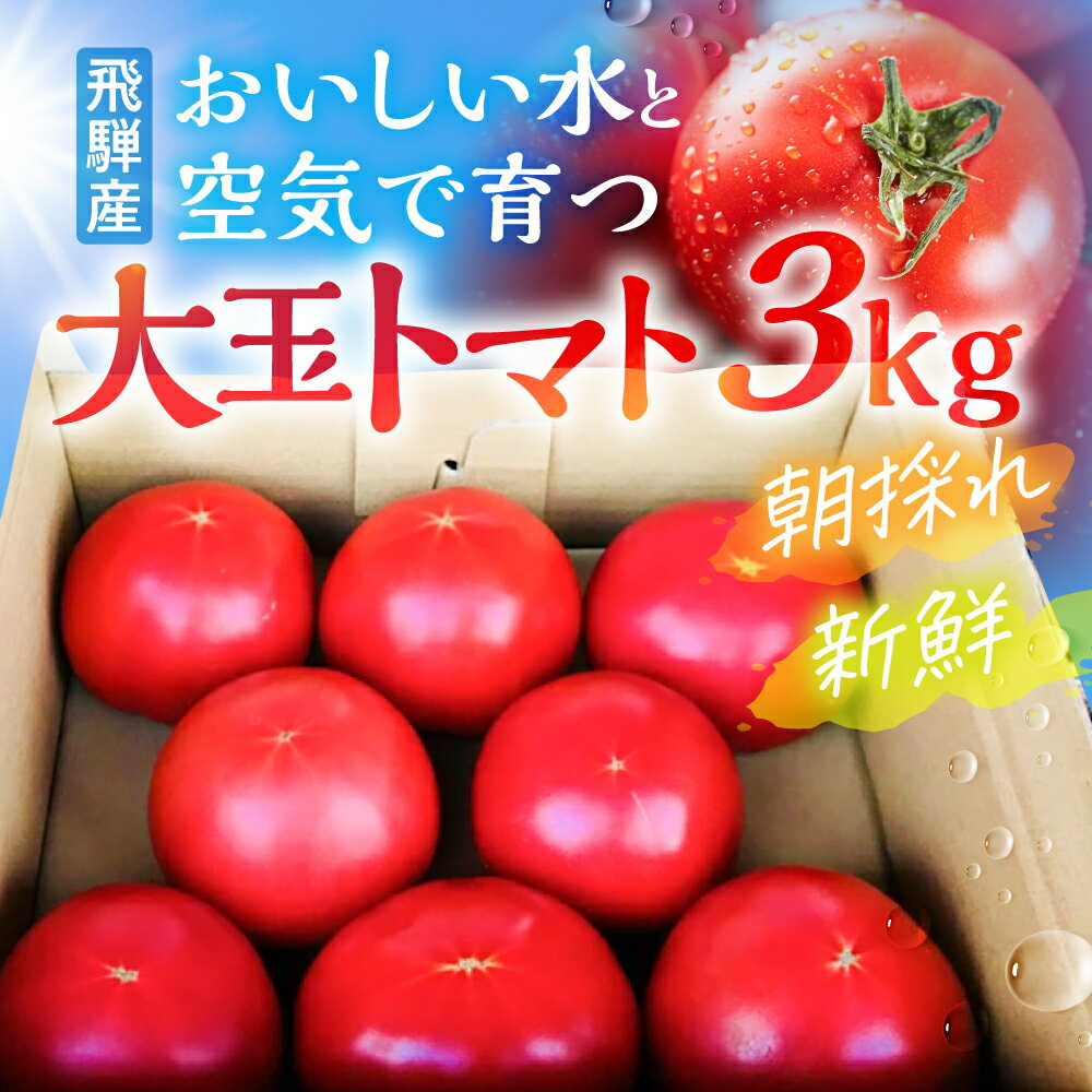 《先行予約》令和8年産 トマト 朝採り発送！ 飛騨古川 池田農園 おいしい水と空気で育った大玉トマト 3kg とまと 野菜 サラダ ジュース 料理 3キロ［A0038x］12000円