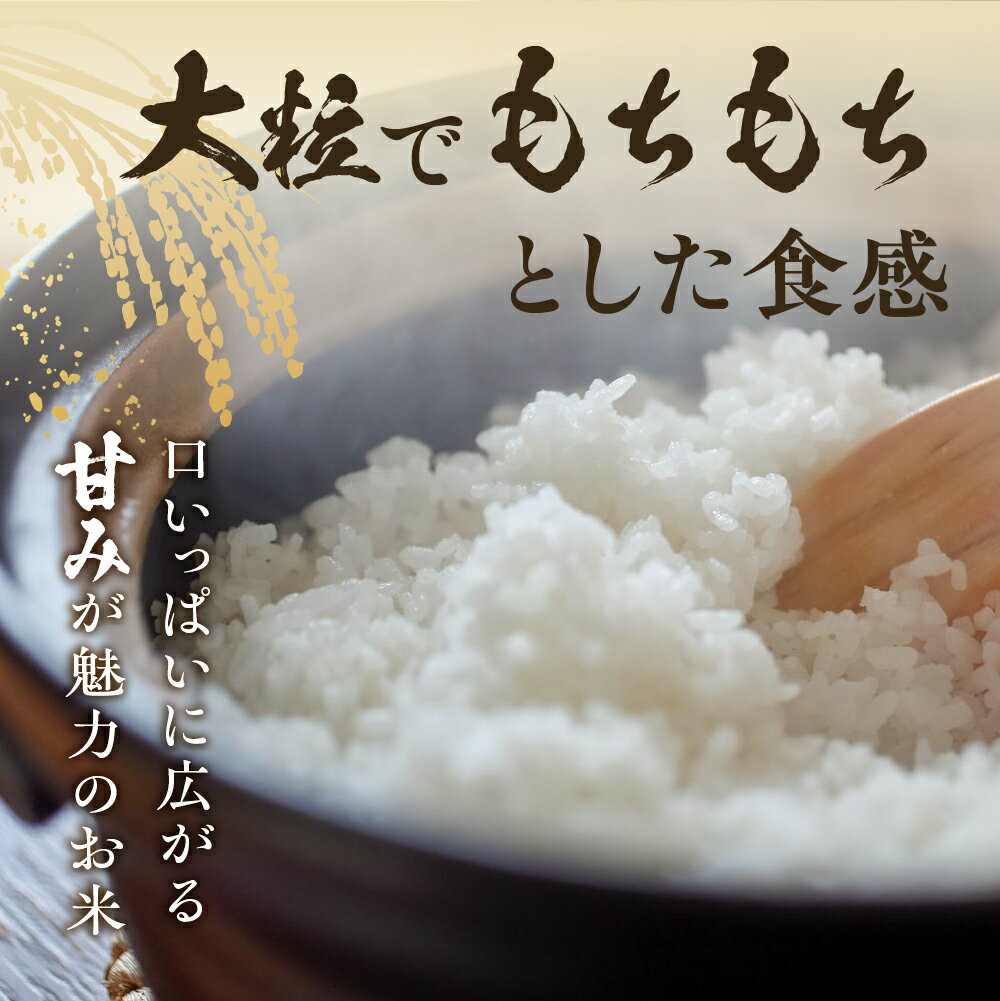 【ふるさと納税】特別栽培米 令和7年産 ゆうだい21 飛騨産 選べる内容量 5kg 10kg 選べる 玄米 精白米 / 単品 米 新米 阪口農園 特A 米 白米 こめ コメ ごはん 5キロ 10キロ 飛騨市 16000円 32000円 - 画像3