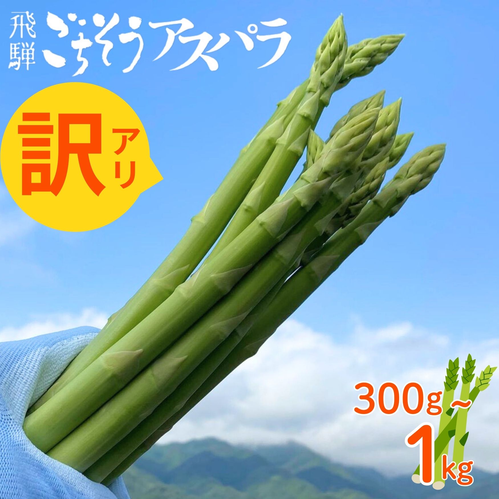 《令和8年産 2026年先行予約受付中》訳あり 水村農園 飛騨のきれいな水と激しい寒暖差が育んだ柔らか甘いアスパラグリーン アスパラガス 2026年 配送 サラダ 天ぷら 新鮮 時間指定 わけあり 訳アリ [Q1957rex] 5000円 飛騨市