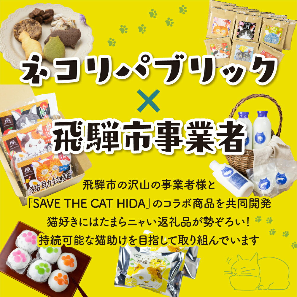 【ふるさと納税】レモン猫 檸檬ケーキ 5個 レモンケーキ 焼き菓子 スイーツ プレゼント ギフト 手土産 菓子折り お菓子 個包装 大久保製菓舗 (SAVE THE CAT HIDA支援) ネコ 猫 ねこ 支援 保護 8000円 8千円 [neko_j_55_u] サムネイル3