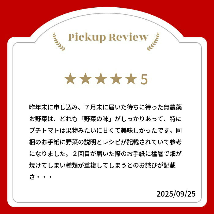 【ふるさと納税】《令和8年産 先行予約受付中》野菜の栄養価コンテストグランプリ農家が贈る 無農薬栽培 野菜セット 6-7品 3回お届け 定期便 お野菜のレシピ付き 野菜 定期便 お楽しみ ありがとうファーム 3万円 30000円《hida0307》 どやな飛騨市 - 画像2