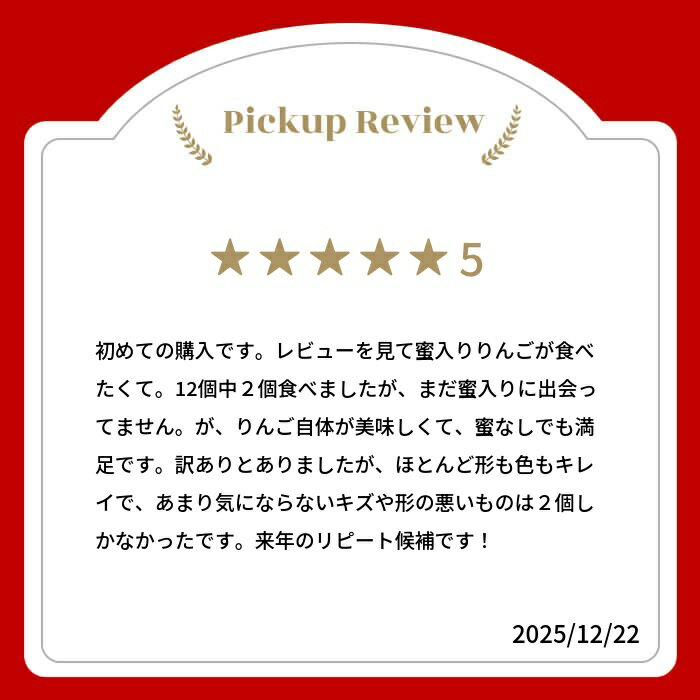 【ふるさと納税】《2026年先行予約》りんご【2026年12月中旬〜1月上旬発送】りんご サンふじ 3kg 約5kg 15〜20玉 飛騨りんご 林檎 黒内果樹園 果物 国産 飛騨産 ご家庭用 家庭用 無袋栽培 訳あり 訳アリ 規格外 わけあり ワケアリ 不揃い 家庭用 [Q843]10000円 1万円 - 画像2