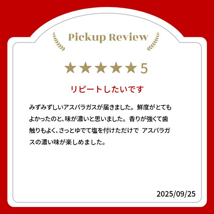【ふるさと納税】＜2026年産 先行予約＞ 飛騨産 アスパラガス（2026年5月上旬〜8月末発送） L 〜 2L サイズ 800g / 2kg 岩塚農園 アスパラ 太い 春 夏 野菜 BBQ 飛騨 やさい 10000円 [Q566_26] 24000円 [Q568x_26] - 画像2