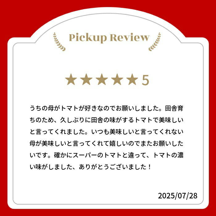 【ふるさと納税】《令和8年産 2026年産先行予約受付中》【訳あり】飛騨トマト 選べる内容量　約1.8kg 6月以降順次発送 とまと トマト 麗月 夏野菜 訳あり 不揃い 傷 キズ 玉数・大きさおまかせ サトーカルチャー [Q2201_25] 5000円 5千円 規格外 - 画像2