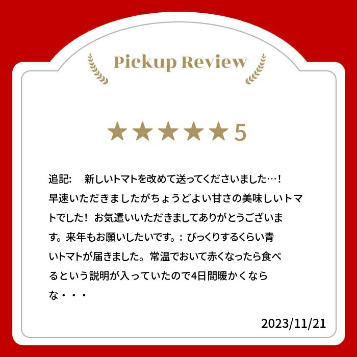 【ふるさと納税】《令和8年産先行予約受付中 2026年産》定期便 飛騨トマト 約1.8kg（8−12玉） 約4kg 単品 産地直送 野菜 とまと トマト 夏トマト 秋トマト 麗月 夏野菜 やさい 農家直送 サトーカルチャー - 画像2