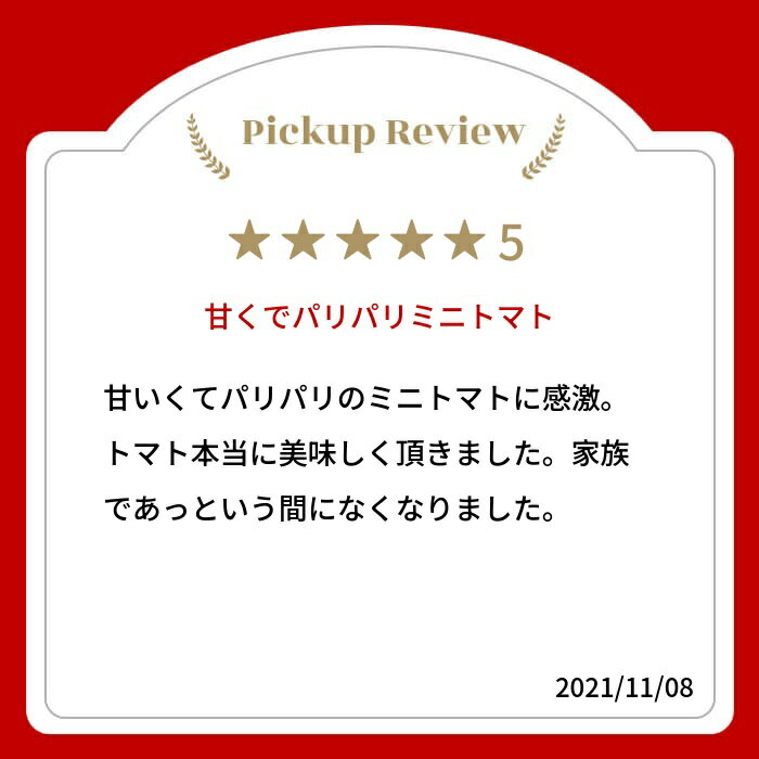 【ふるさと納税】《先行予約》令和8年産 飛騨産 ミニトマト カラフルキュートなミニトマトの詰め合わせたっぷり1.5kg！ トマト とまと 甘い きれいな 水 サラダ おやつ 朝食 夏 野菜 池田農園 飛騨市 [Q216x] 12000円 - 画像2