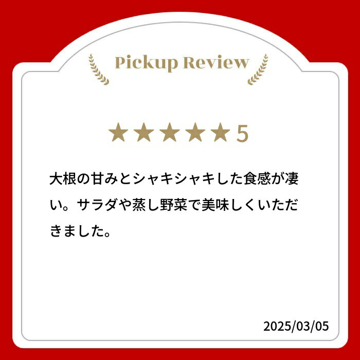 【ふるさと納税】《先行予約》満天☆青空レストラン で紹介 飛騨 山之村 清水さんちの「寒熟だいこん」 【2027年1月下旬〜3月上旬発送】完熟大根 約4.5kg 2〜6本 清水農園 野菜 産地直送 お取り寄せ 完熟 ダイコン 鍋 おでん 煮物 [A0122wxch] 12000円 飛騨市 - 画像2