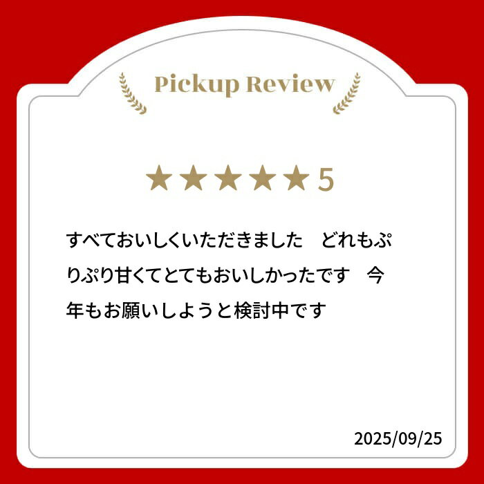 【ふるさと納税】《先行予約》夏季限定 2026年発送 雪解け水で育ったカラフルな濃厚ミニトマト 2kg カラフルミニトマト ミニトマト トマト プチ とまと 2キロ 夏野菜 旬 野菜 10000円 1万円 長九郎農園 飛騨市［A0008_26］ - 画像2