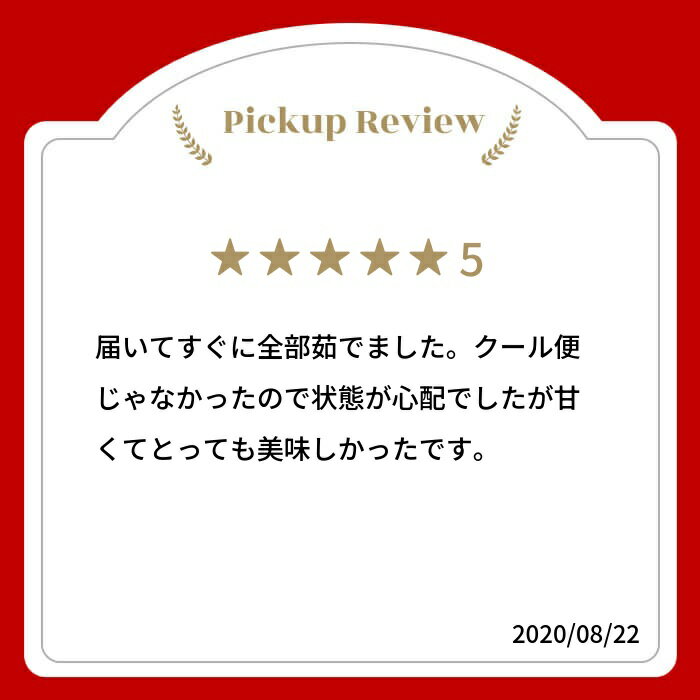 【ふるさと納税】《令和8年産先行予約》甘い！朝採れトウモロコシ ゴールドラッシュ 4kg 8〜10本 8月中旬から9月下旬にお届け とうもろこし スイートコーン 飛騨産 サイズ不揃い 不揃い 訳あり 訳アリ わけあり ワケアリ 産地直送 夏 秋 野菜 季節 10000円 1万円 [B0224x] - 画像2