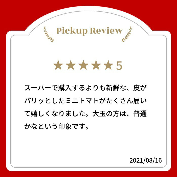 【ふるさと納税】先行予約《夏季限定》2026年分 雪解け水で育ったカラフルな濃厚トマト2kgセット（大玉・ミニトマト）産地直送 野菜 トマト ミニトマト プチ 2キロ とまと 朝採れ 美味しい 新鮮 いろいろ セット 飛騨市 [A0018_26] 12000円 - 画像2