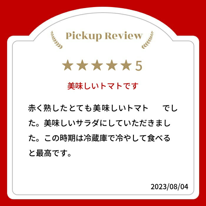 【ふるさと納税】【令和8年産先行予約】《期間・数量限定》 コクと旨味の有機大玉トマト サンマルツァーノ 調理用トマト ありがとうファーム 有機JAS認定 2.5kg とまと 大玉 甘い 特産 国産 野菜 訳あり 旬 有機野菜 訳アリ 送料無料 [Q633]《hida0307》 - 画像2