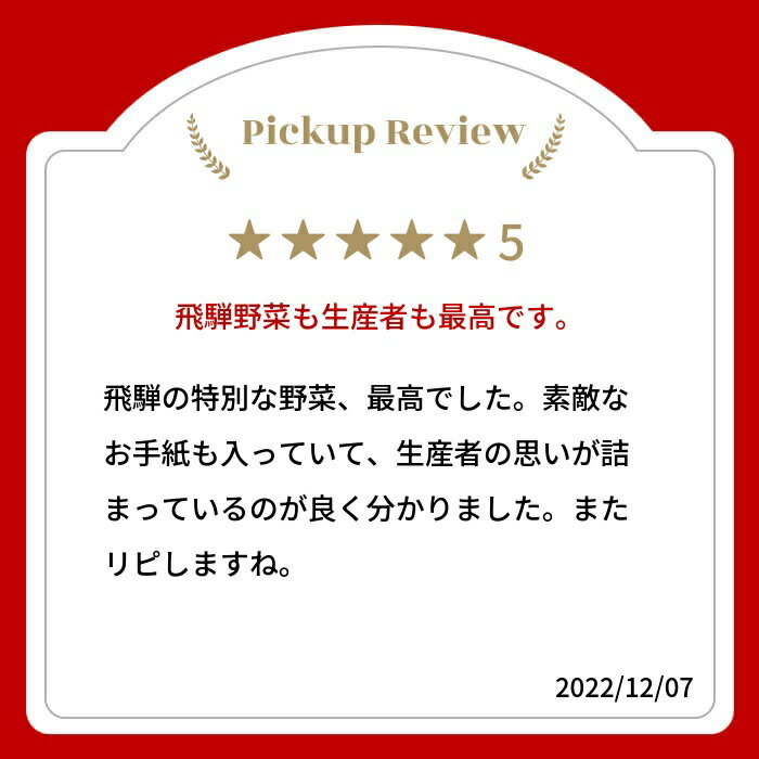【ふるさと納税】令和8年産 2026年発送《先行予約》《期間・数量限定》飛騨 野菜セット 9〜10品 自然栽培 野菜BOX・Lサイズ ソヤ畦畑 夏野菜 ピーマン ナス きゅうり オクラ ズッキーニ[B0231x]12000円 - 画像2