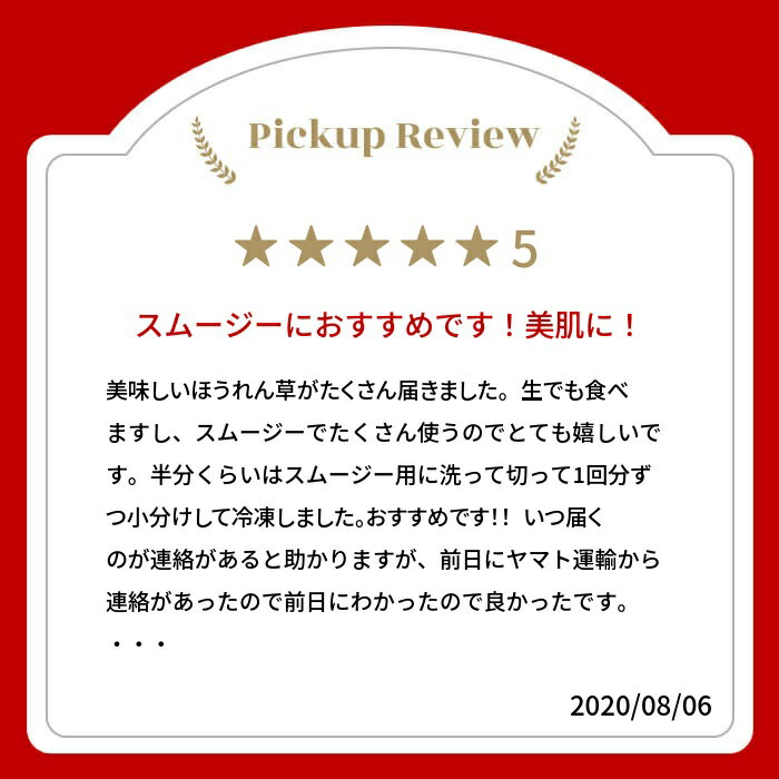 【ふるさと納税】《先行予約》《期間限定》飛騨ほうれん草 150g×8 朝採れ ほうれんそう ホウレンソウ 個包装 野菜 やさい 葉物 山之村 新鮮 産地直送 飛騨市 [A0089wx]10000円 1万円 - 画像2