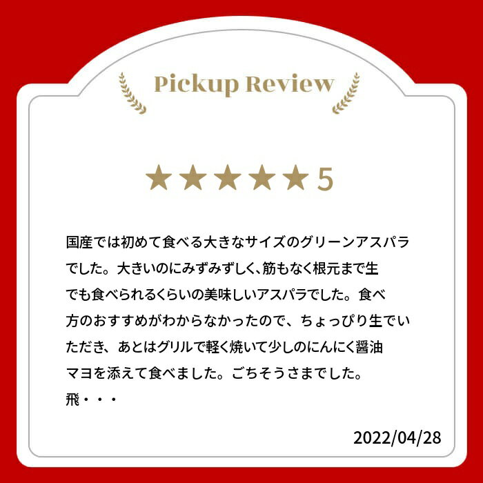 【ふるさと納税】《2026年産先行予約》《期間・数量限定》水村農園 プレミアムアスパラ 1本50g以上の極太アスパラガス 5本 10本 グリーン アスパラガス[Q543] 《hida0307》 - 画像2