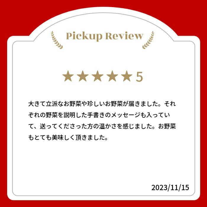 【ふるさと納税】【先行予約】2026年7月からお届け！旬の野菜の定期便 飛騨産直市そやな直送 トマト店長厳選 飛騨産 旬の野菜セット 野菜セット 定期便 2回 3回 おまかせ 詰め合わせ 産地直送 《hida0307》7000円 10000円 1万円 どやな飛騨市 - 画像2
