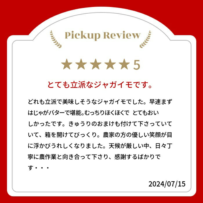 【ふるさと納税】《先行予約》令和8年産【訳あり】きたあかり 4kg 馬鈴薯 じゃがいも サイズばらばら 飛騨産 国産 キタアカリ ジャガイモ 野菜 化学肥料不使用栽培 飛騨産【令和8年7月上旬〜10月上旬発送】[Q1112wx] - 画像2