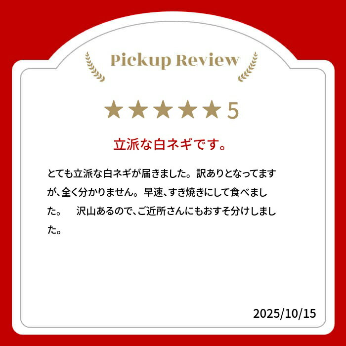 【ふるさと納税】《先行予約》飛騨の根深ねぎ 5kg 訳あり サイズ・太さ様々 訳アリ わけあり ワケアリ 不揃い 水村農園 飛騨産野菜 きれいな山の 水 で育つ 旬の野菜 野菜 白ねぎ ネギ 薬味 鍋 うどん そば に 産地直送 国産 飛騨市 [ [B0144] - 画像2