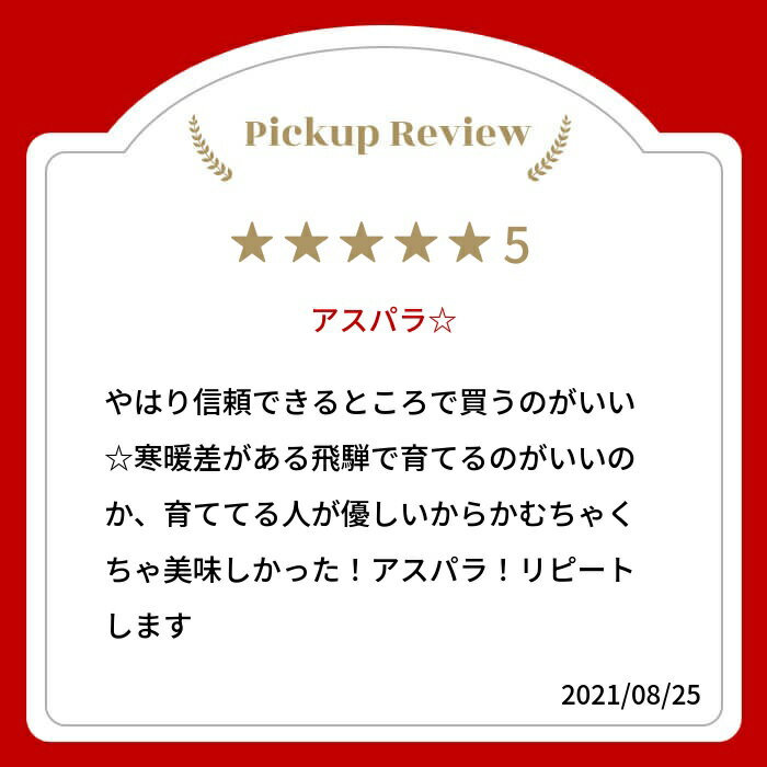 【ふるさと納税】《定期便》アスパラ＆ネギ4回定期便 水村農園 飛騨産 旬の野菜 定期便 お楽しみ[Q548] 《hida0307》 どやな飛騨市 - 画像2