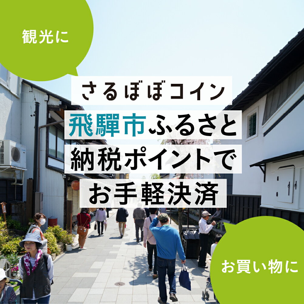 【ふるさと納税】さるぼぼコイン　飛騨市ふるさと納税ポイント [Q2297] 飛騨市 サムネイル3