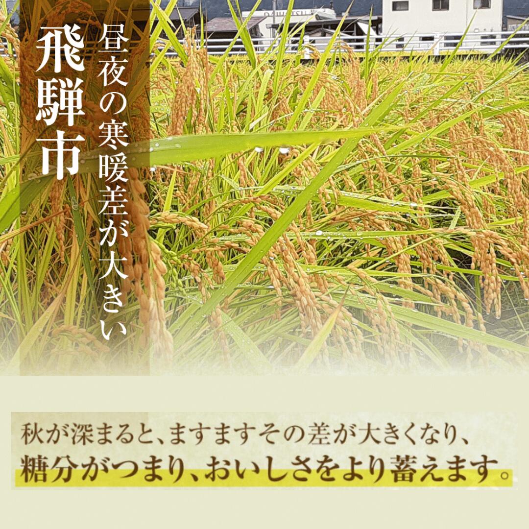 【ふるさと納税】＼在庫限り／令和7年産 飛騨産 コシヒカリ 4.5kg / こしひかり 米 お米 こめ 精米 新米 白米 精白米 新鮮 飛騨産 コメ 飛騨市 清水農園 [Q2651ch] - 画像3