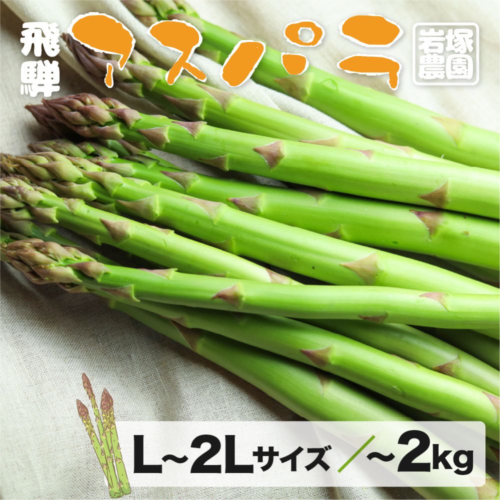 ＜2026年産 先行予約＞ 飛騨産 アスパラガス（2026年5月上旬〜8月末発送） L 〜 2L サイズ 800g / 2kg 岩塚農園 アスパラ 太い 春 夏 野菜 BBQ 飛騨 やさい 10000円 [Q566_26] 24000円 [Q568x_26]