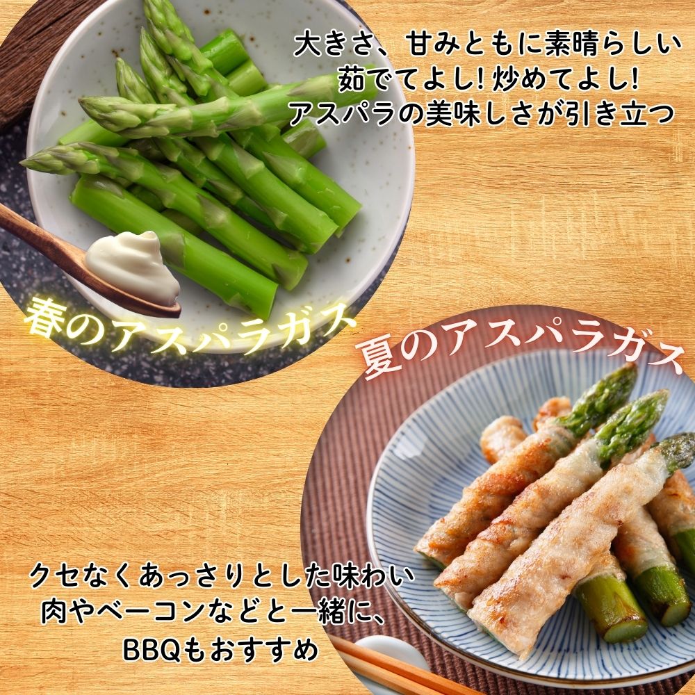 【ふるさと納税】＜2026年産 先行予約＞ 飛騨産 アスパラガス（2026年5月上旬〜8月末発送） L 〜 2L サイズ 800g / 2kg 岩塚農園 アスパラ 太い 春 夏 野菜 BBQ 飛騨 やさい 10000円 [Q566_26] 24000円 [Q568x_26] サムネイル2