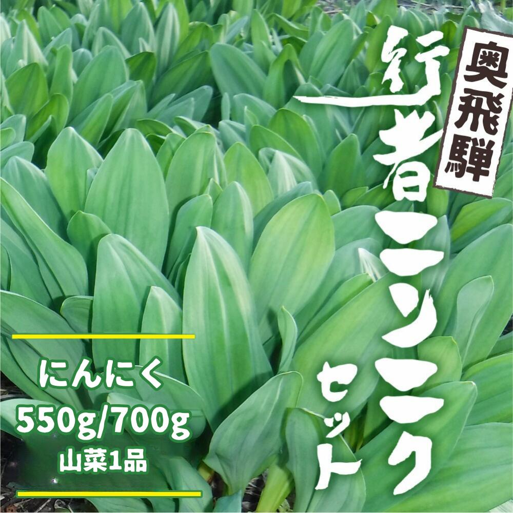 《先行予約》選べる内容量 奥飛騨産とれたて新鮮 生行者ニンニク 550g / 700g , 山菜1品 行者ニンニク 行者にんにく 醤油漬け 【4月下旬〜5月上旬発送】[Q654xch Q655xch] 10000円 1万円 12000円
