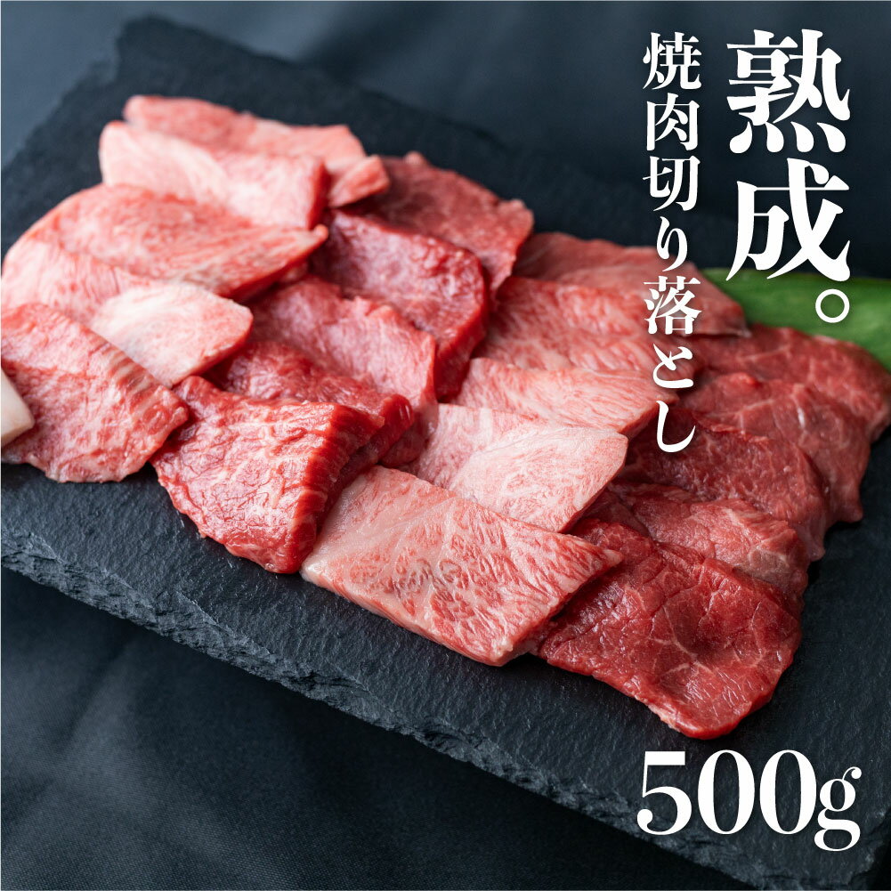 焼肉 切り落とし 500g 飛騨の牧場で育った熟成飛騨牛『山勇牛』 A4 A5 切落し 訳あり 訳アリ わけあり ワケアリ 不揃い ミックス 牛肉 肉 和牛 国産 希少部位入り 飛騨牛 訳あり 岐阜県飛騨市 [D0025]